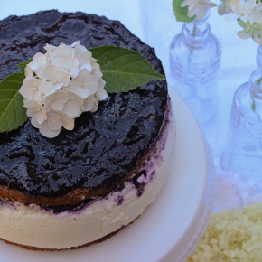 Quark-Blaubeer-Torte – mit Pistazien Biskuitboden